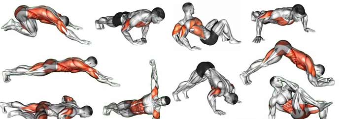 تقویت عضلات بالاتنه